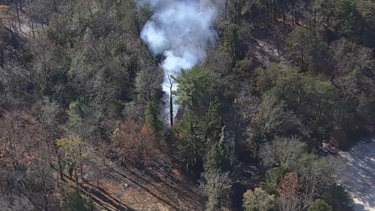 NJ wildfire continues to smolder near Burlington County homes, businesses  NBC10 Philadelphia [Video]