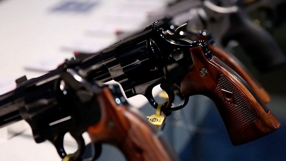 Bill eyed to make police seize firearms in domestic disputes [Video]