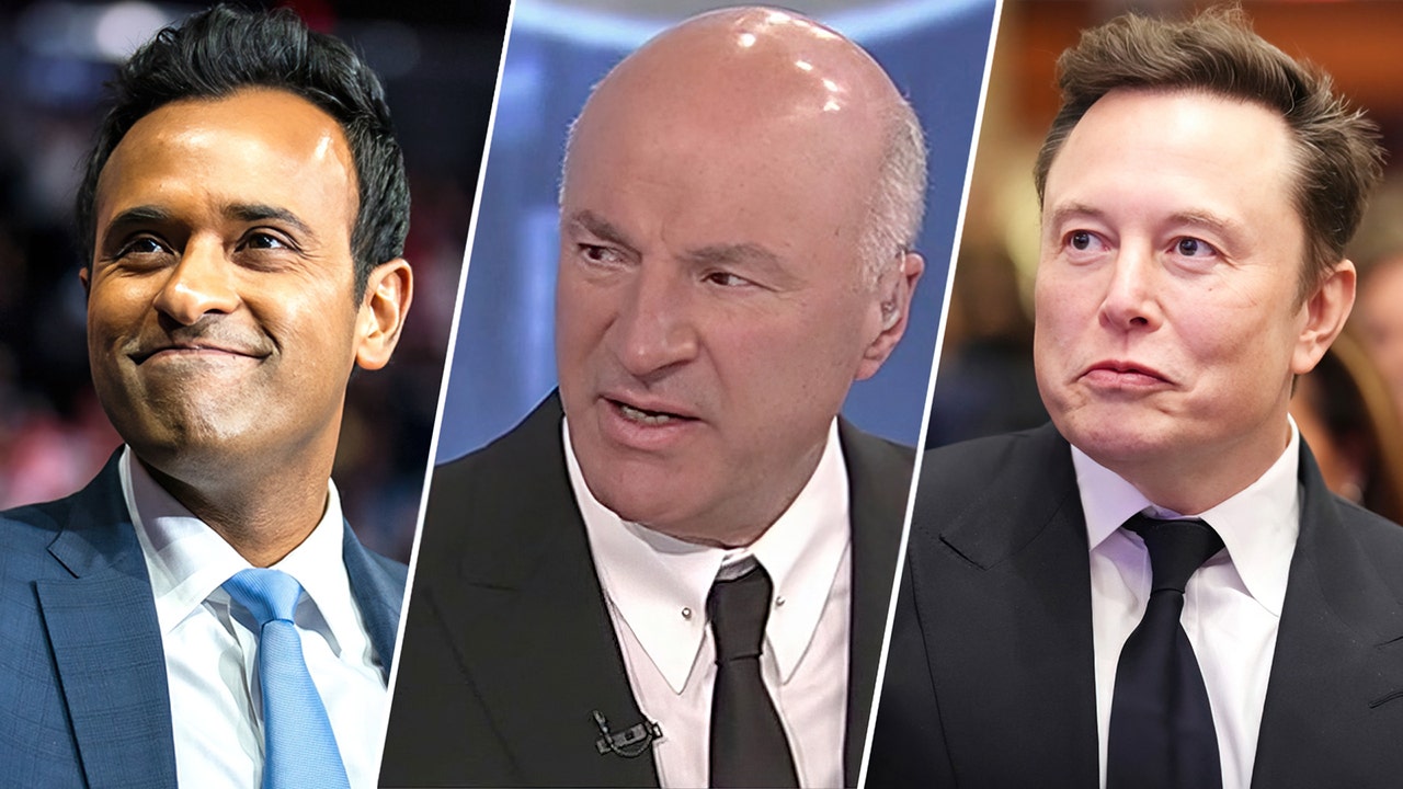 Kevin O’Leary voices support for Musk and Ramaswamy’s DOGE: ‘There’s lots of room for efficiency’ [Video]