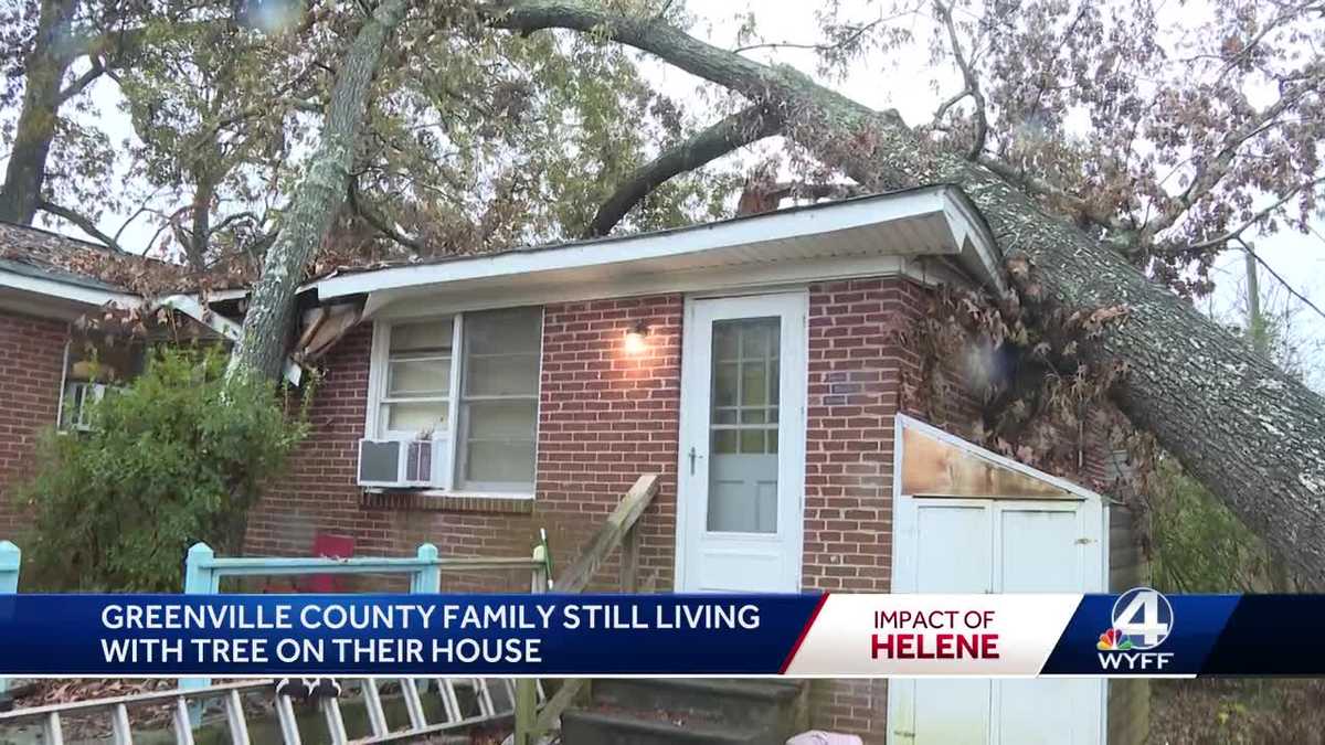 Family with tree in their home seeking answers [Video]