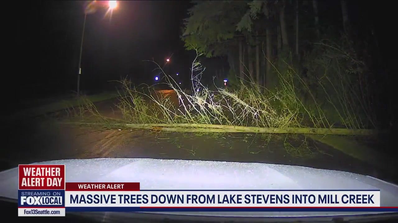 Massive trees down from Lake Stevens to Mill Creek [Video]