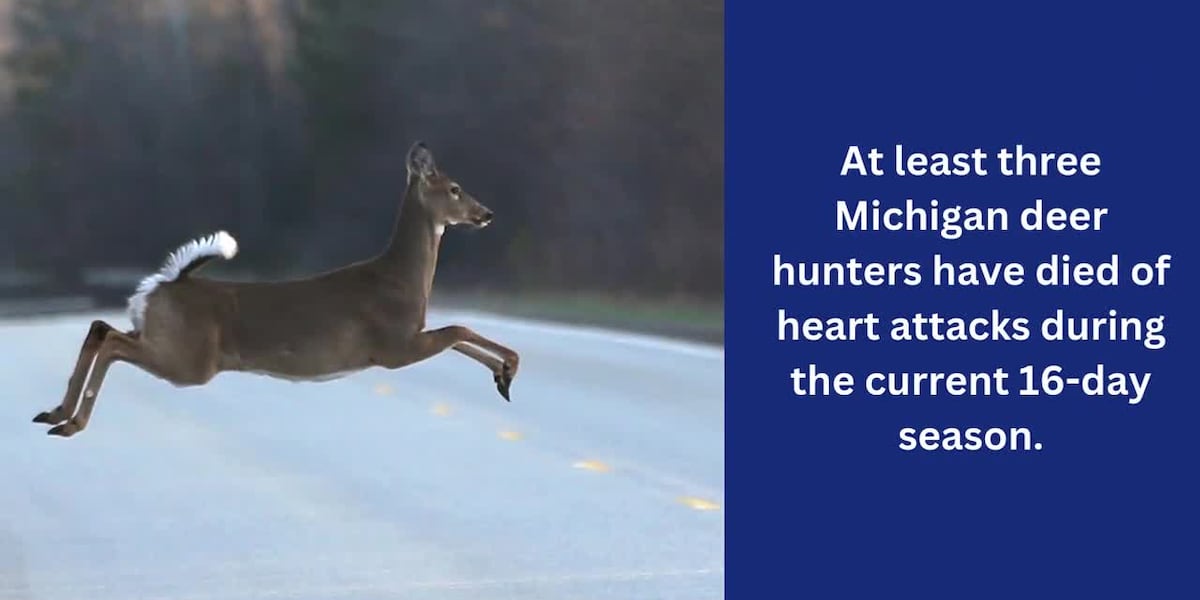 Michigan hunters die of heart attacks while hauling away heavy deer [Video]