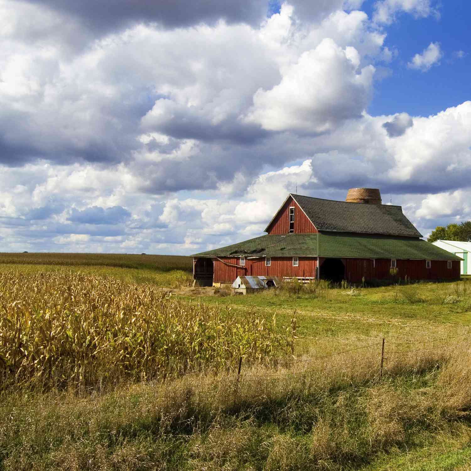 Farmers Need Significant Federal Help to Survive Drop in Income, Say Senators [Video]