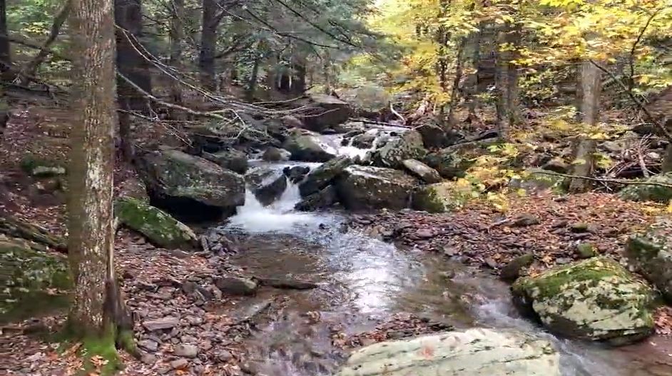 Conservationists eye Whitney Park in Adirondacks [Video]