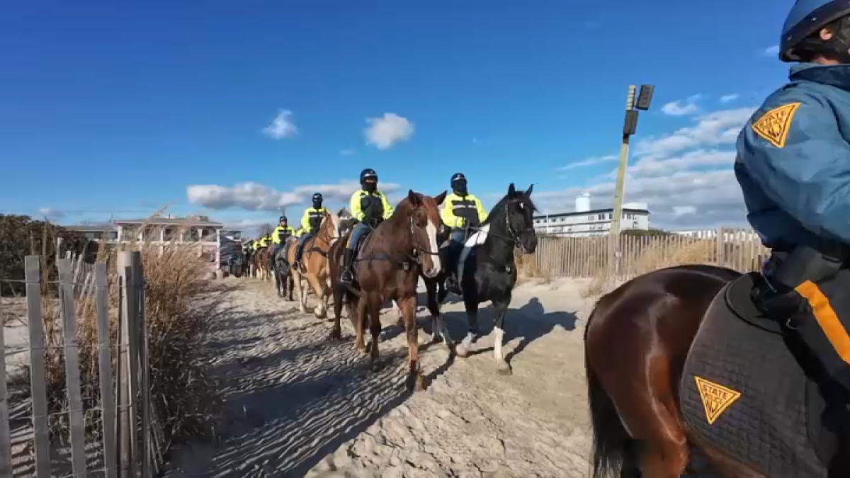 Mounted horse training event returns to Cape May  NBC10 Philadelphia [Video]