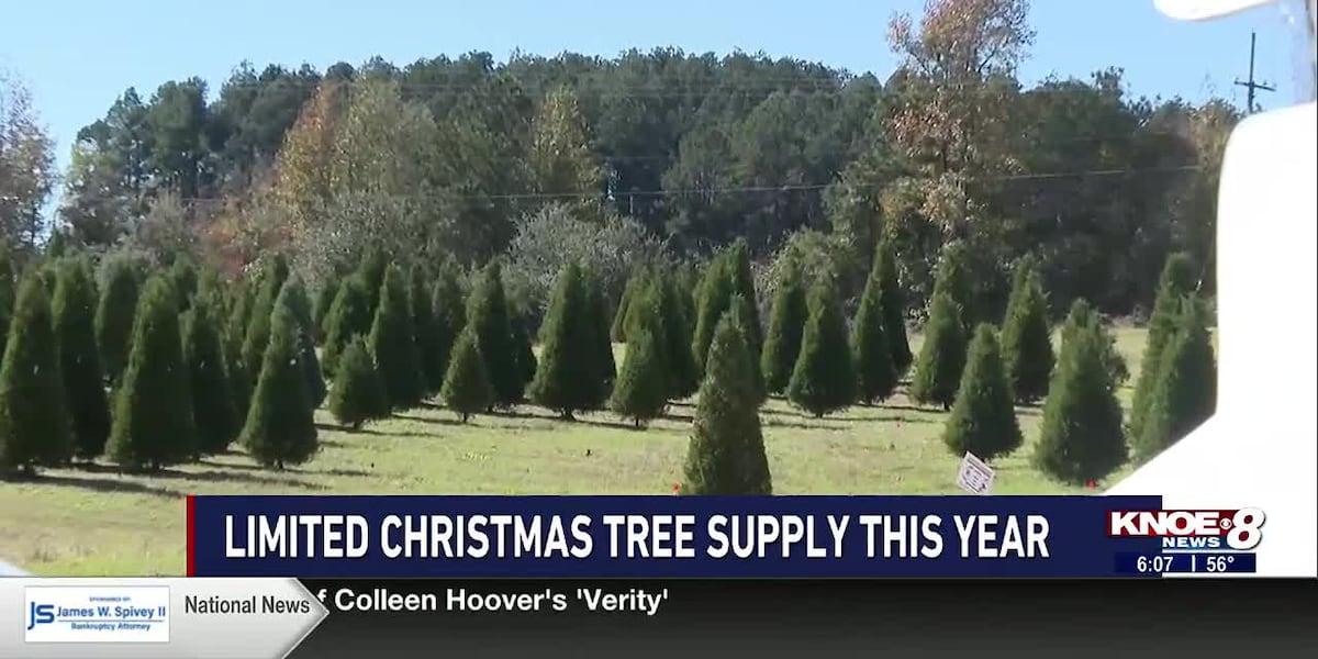 Christmas tree farms facing shortages this holiday season [Video]