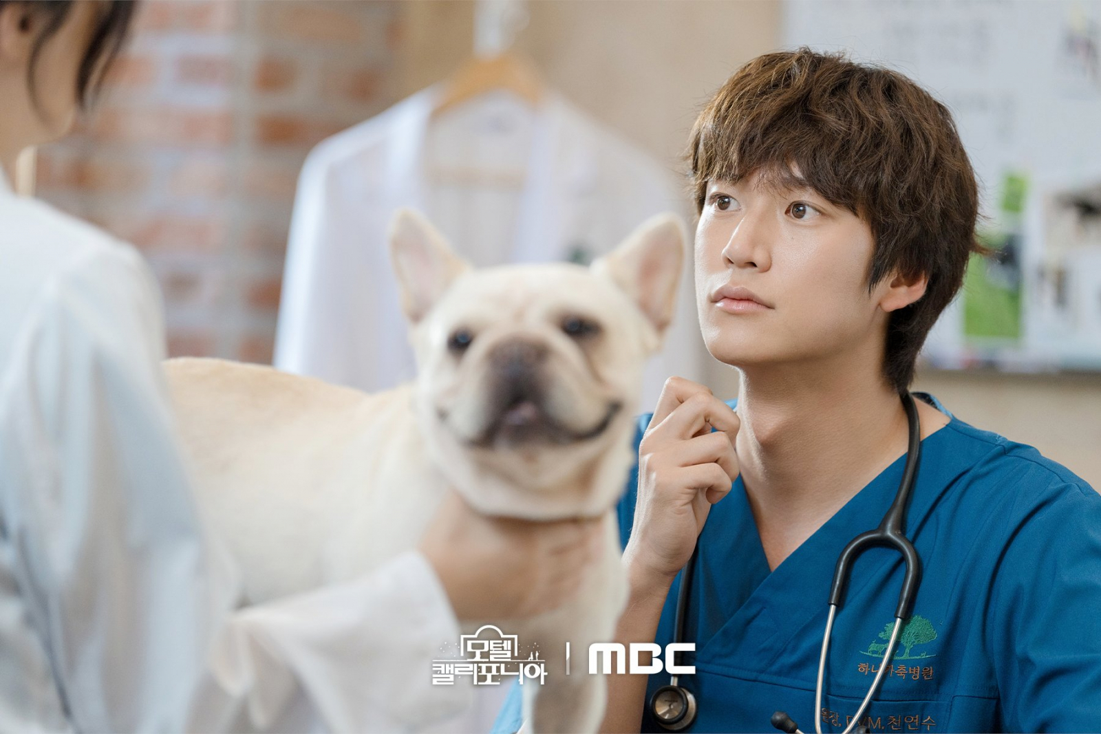 Marry My Husband Star Na In Woo to Portray Charming Veterinarian in New K-drama [Video]