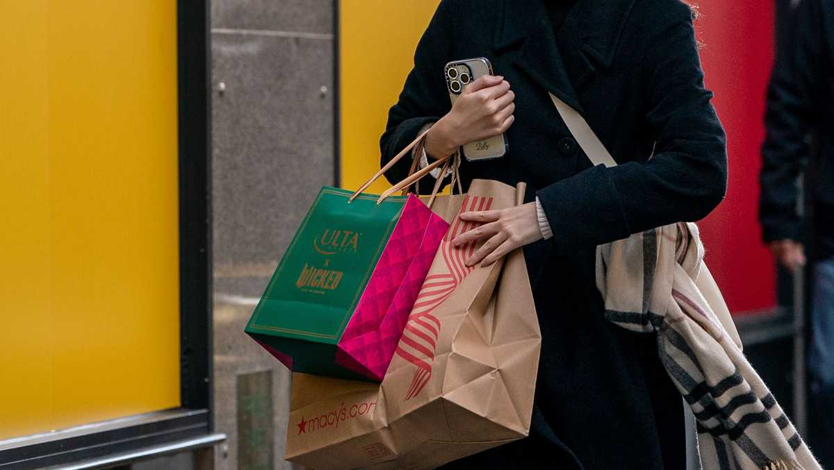 Shoppers continue indulging in Black Friday sales, but mostly online [Video]