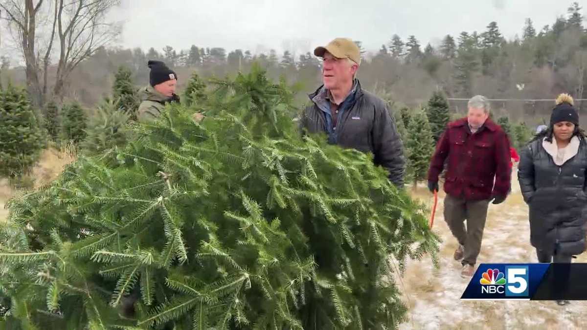 Gov. Phil Scott chops down his own Christmas tree at Whitcomb Family Farm [Video]