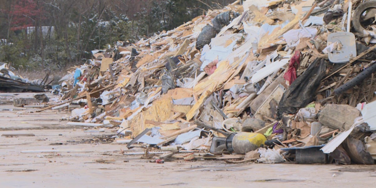 Cocke County mayor gives update on Helene debris cleanup [Video]