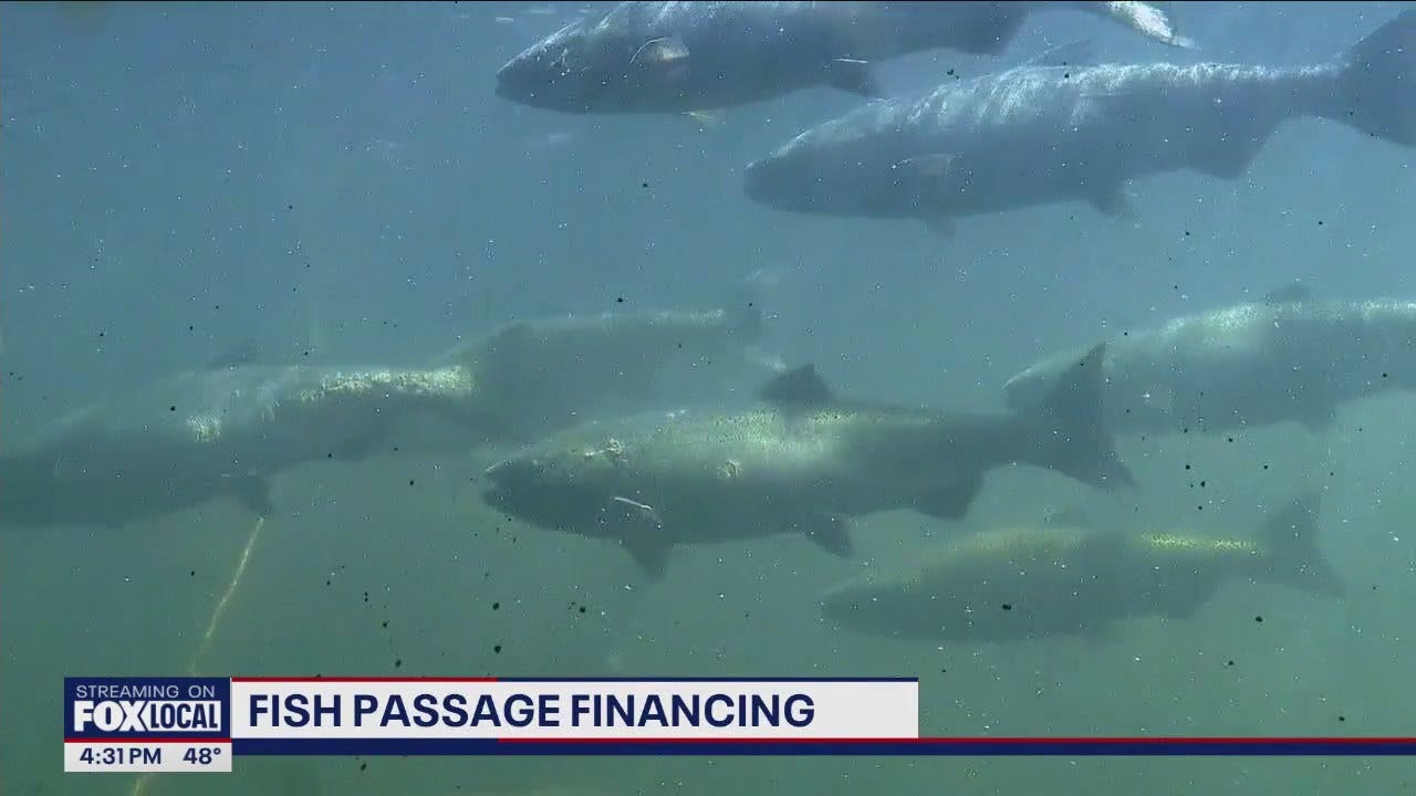 Breaking down WSDOT’s fish passage financing [Video]