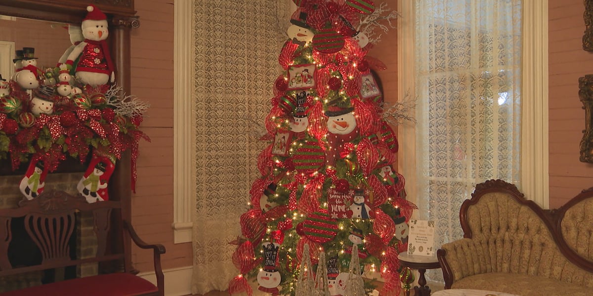 On Saturday, the city of Newton hosted its first annual Trees of Christmas from 5 to 7 p.m. at the historic McElroy Hoye house. [Video]