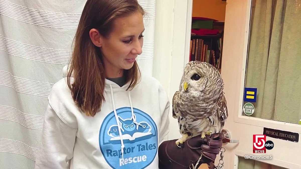 Bird lover creates safe haven for injured raptors [Video]