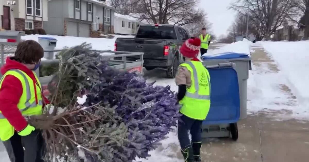 Local Boy Scout troops help with Christmas tree recycling services [Video]