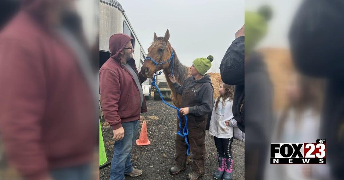 Rescue horse makes journey from Oklahoma to New York following involvement in car crash | News [Video]