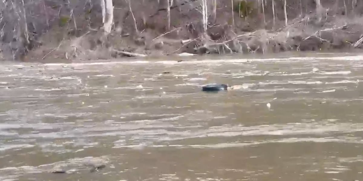 No homes report damage after weekend flooding in Cocke County, mayor says [Video]