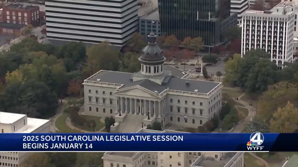 Upstate lawmakers preview legislation ahead of 2025 session [Video]