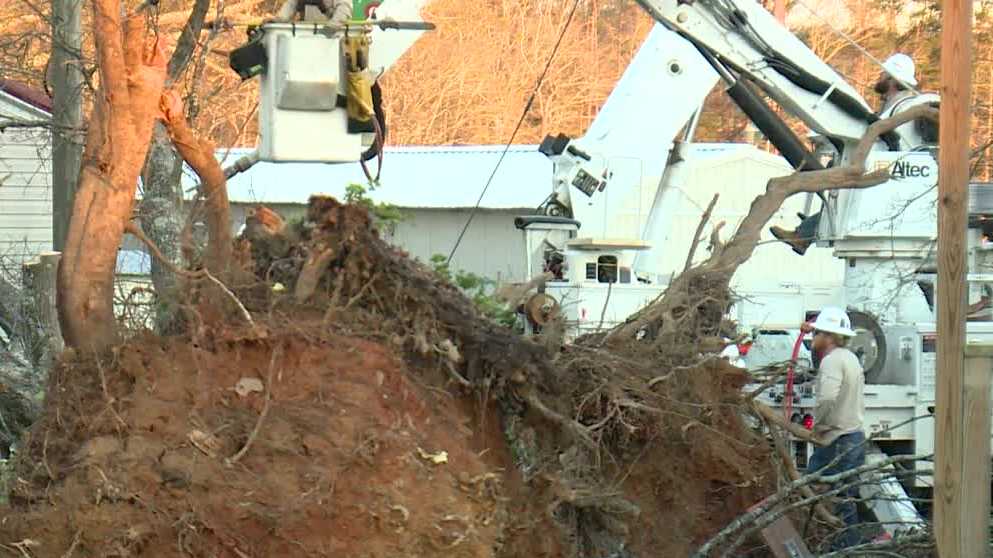 Severe weather damages homes, power lines in Alabama [Video]