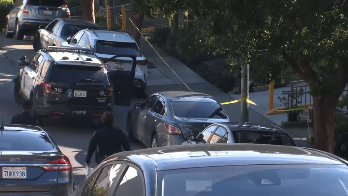 Police activity at Alemany Farmers Market in San Francisco  NBC Bay Area [Video]