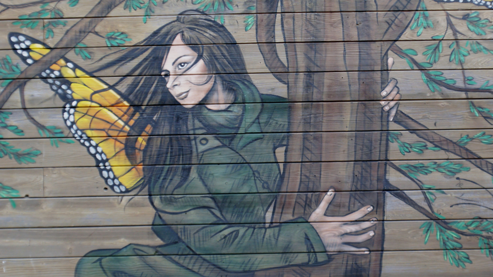 Bay Area mural of Julia Butterfly Hill by artist Amandalynn celebrates ‘love in action’ [Video]