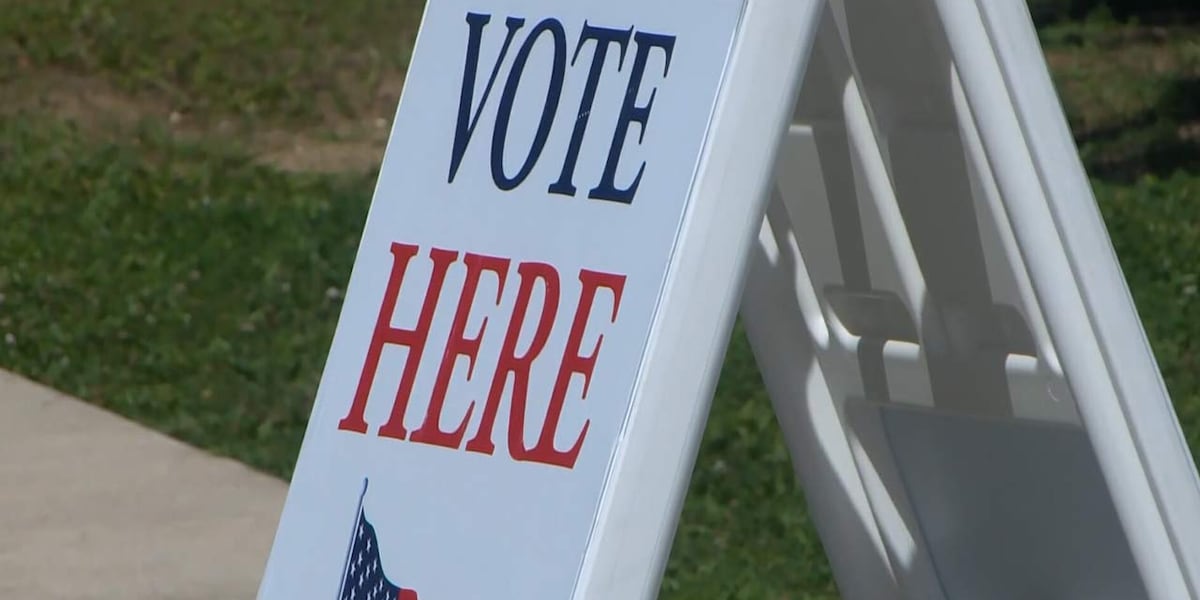 Early voting on the horizon for SC House District 113 primary special election [Video]