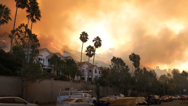 Massachusetts natives, local experts, react to California wildfires [Video]