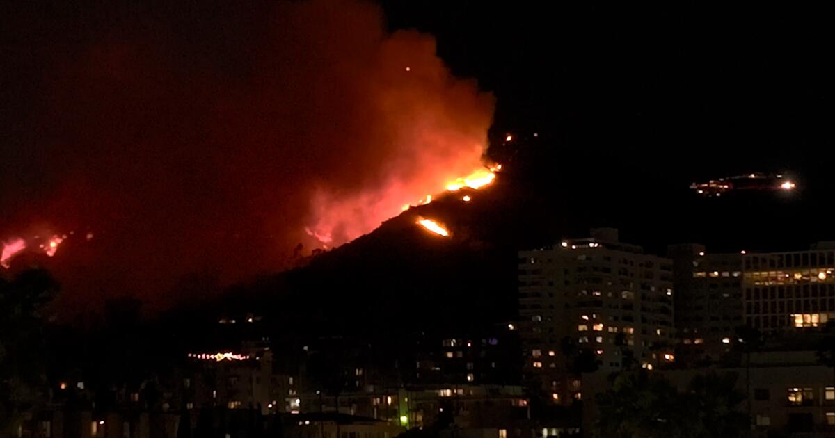 Sunset Fire explodes in the Hollywood Hills, promoting evacuations [Video]