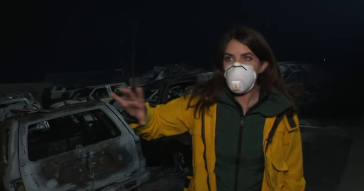 We continue to see mass destruction: Reporter details wildfire impact in Altadena [Video]