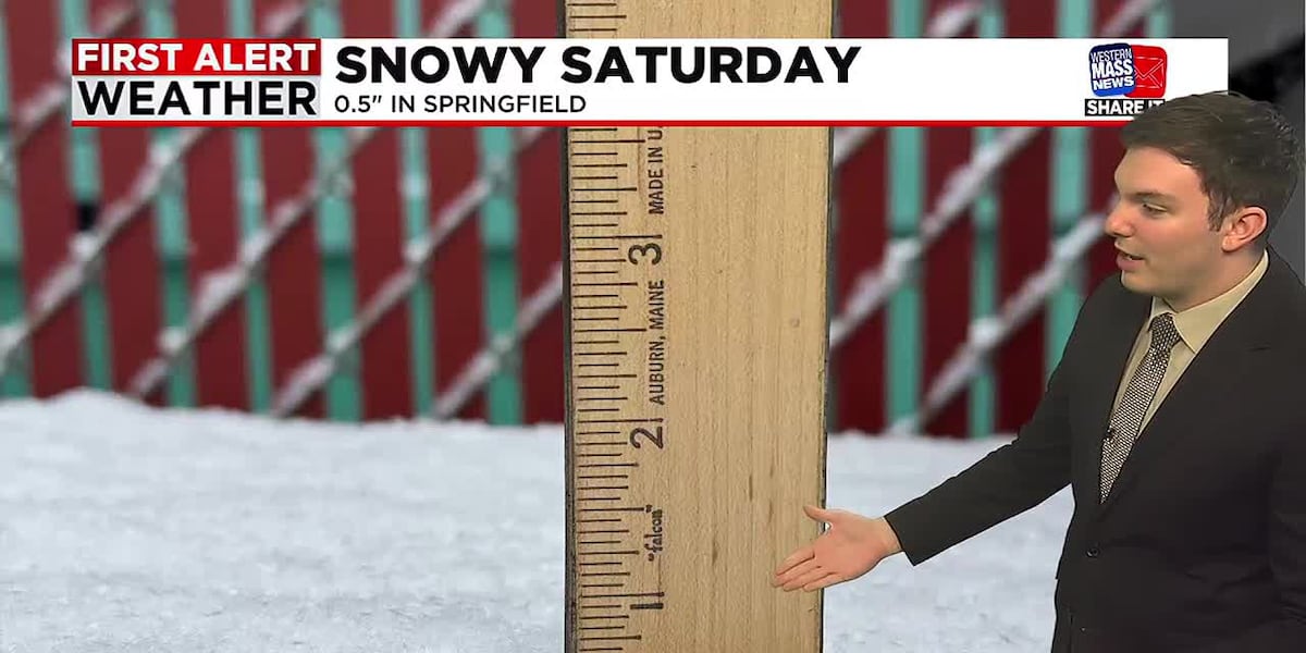 Snow Ending, Sun Returns for Sunday [Video]