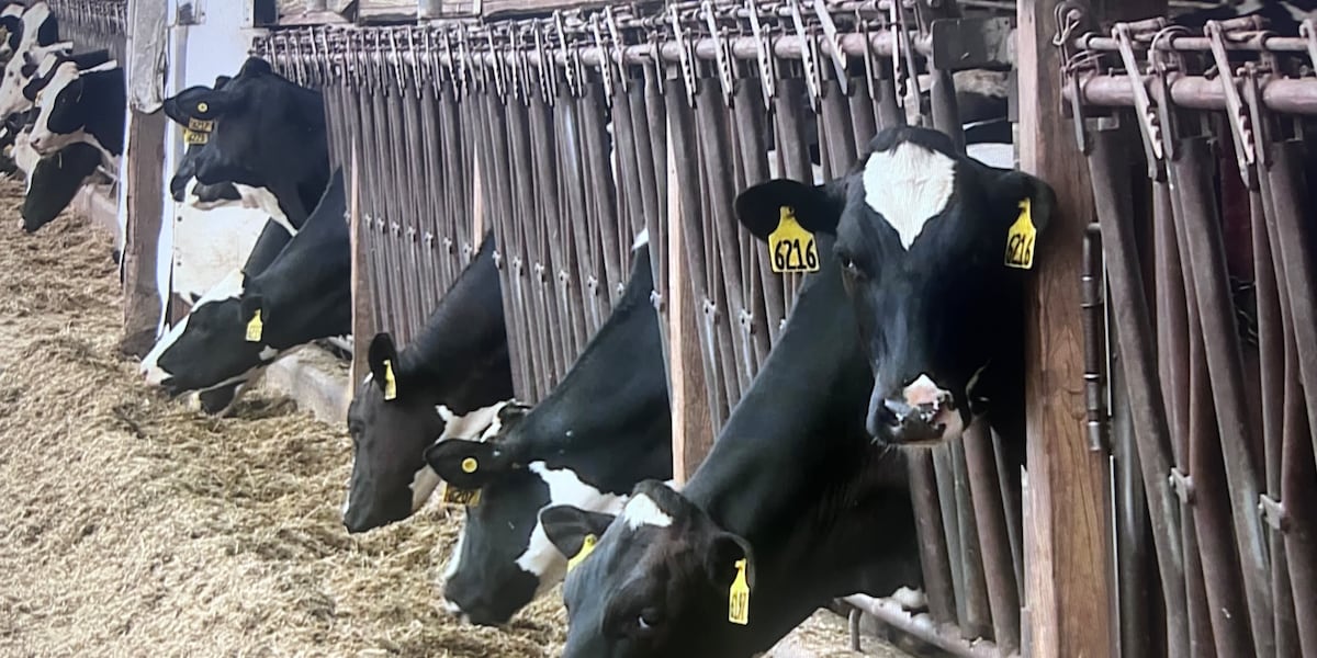 DATCP issues reminder to apply for Dairy Processor Grant through Jan. 17 [Video]