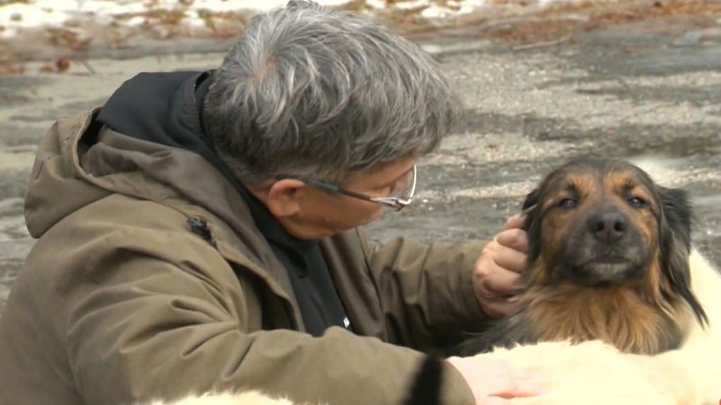 Animal Shelter in N.B. closes after 18 years [Video]