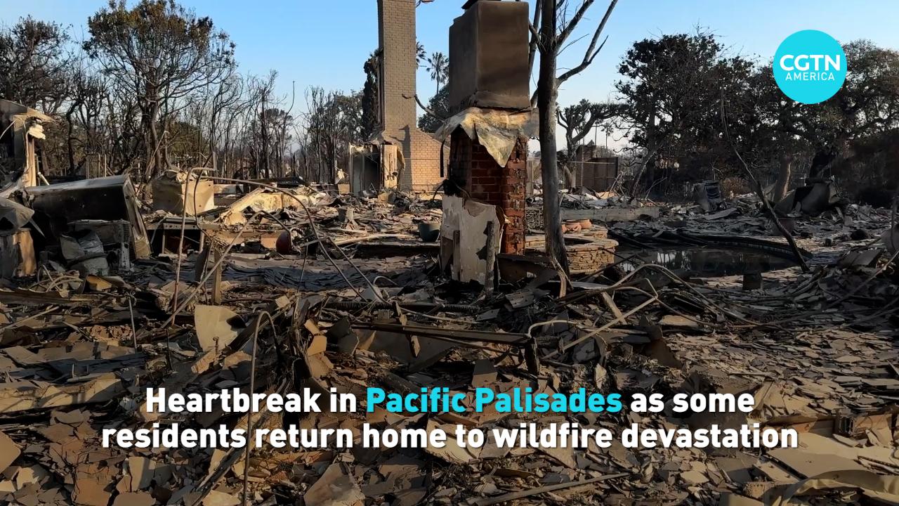 Heartbreak in Pacific Palisades as residents return home [Video]