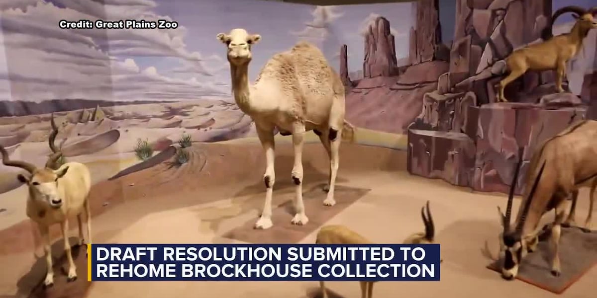 Work group to consider draft resolution to rehome Brockhouse Collection [Video]