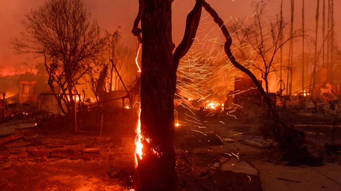 LA tree advocates hope their work recovers from fires [Video]