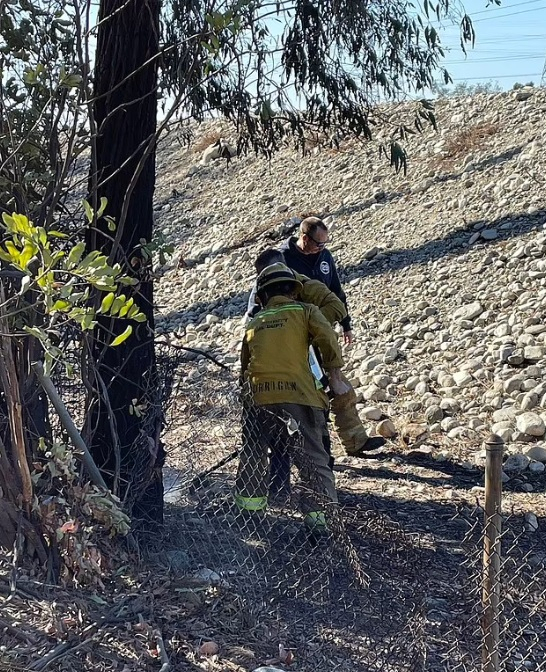 Who Is Ruben Montes? LAFD Arrests Second Arsonist after He Was Seen Starting New Fires in Los Angeles as They Struggle to Contain Wildfires [Video]