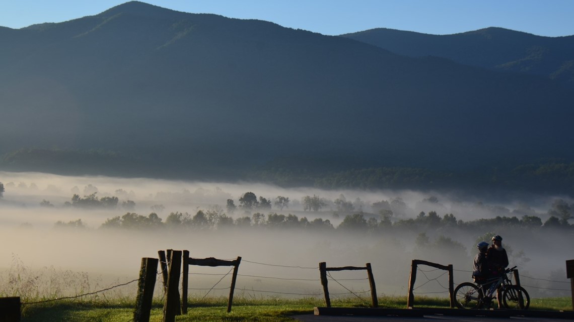 Cades Cove to be closed during the week for tree removal, NPS says [Video]