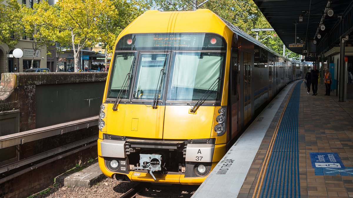 Sydney trains to be hit with more delays in bad news for commuters – what you need to do [Video]