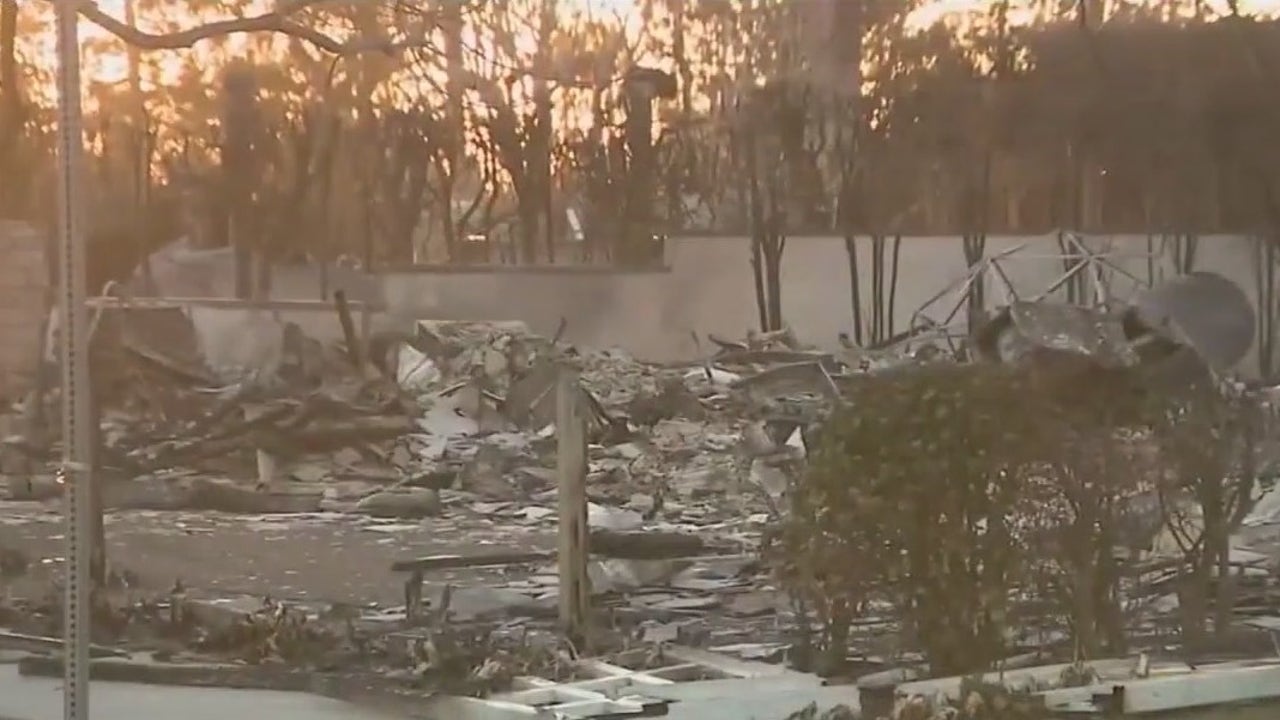 Brush clearing business helping mitigate wildfire risk [Video]