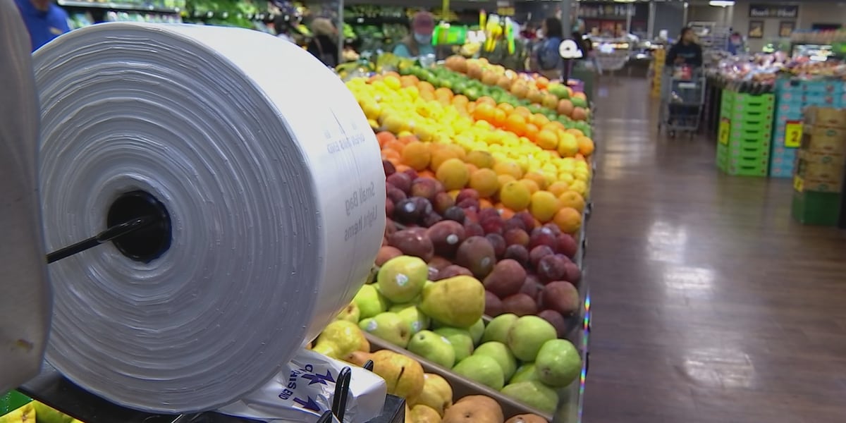 Could you save money on groceries in 2025? TN legislators consider cutting the tax [Video]