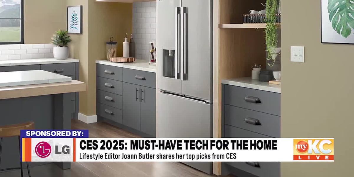 The Best of the 2025 Consumer Electronic Show [Video]