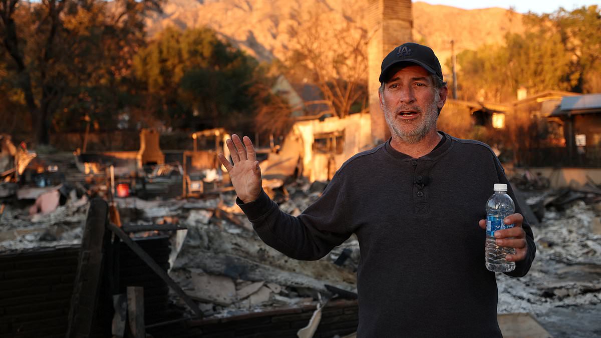 Wealthy LA homeowners take up arms to defend their fire-ravaged neighborhoods from looters [Video]