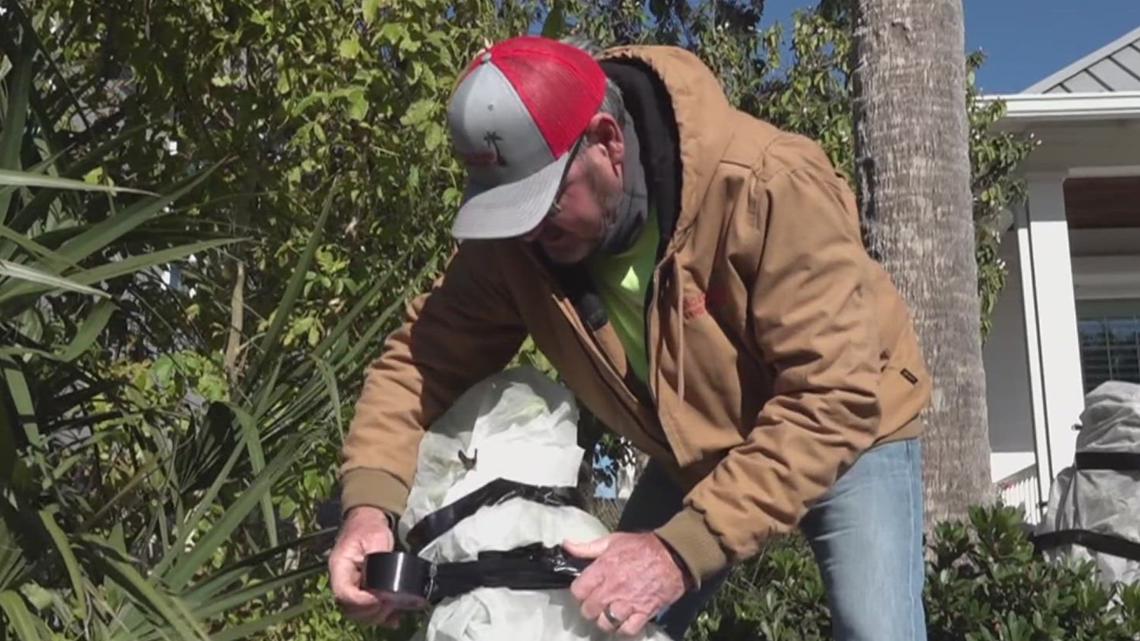 Aransas Pass landscape business prepares homeowners for upcoming freeze [Video]